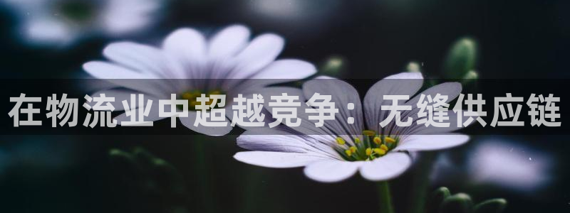 28圈注册网站多少：在物流业中超越竞