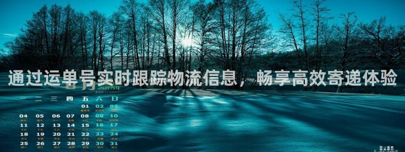 28圈预测加拿大师准
