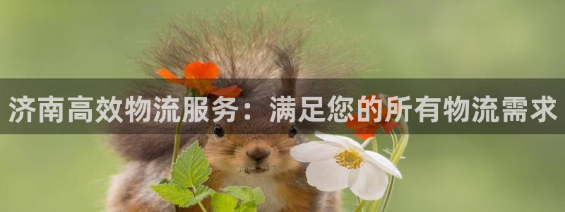 28圈注册网站多少钱：济南高效物流服