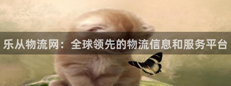 28圈注册登录链接：乐从物流网：全球