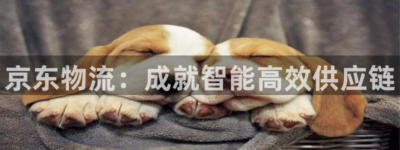 28圈注册网站APP：京东物流：成就