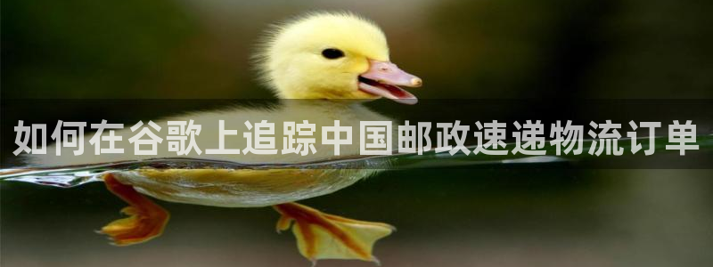 28圈官网开奖结果预测：如何在谷歌上