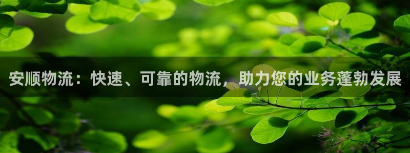 28圈登录：安顺物流：快速、可靠的物