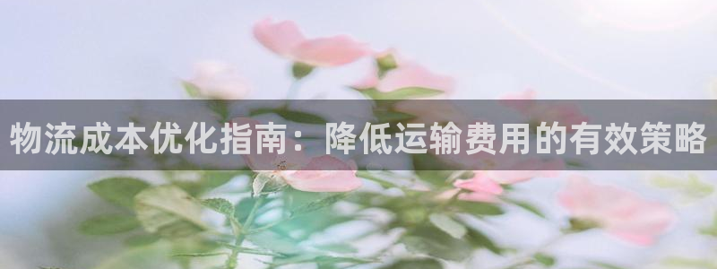 28圈注册平台：物流成本优化指南：降