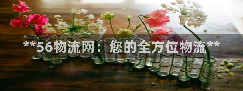 28圈.ccm官网