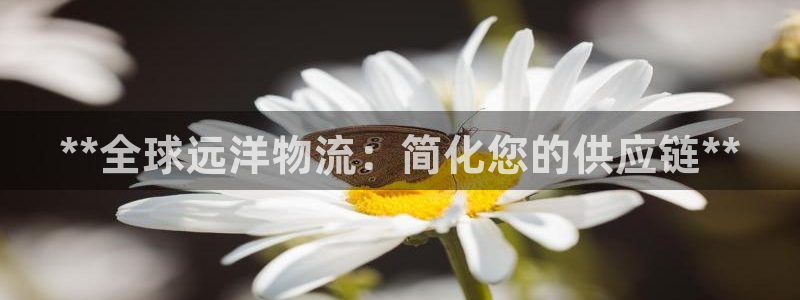 28圈p图上分下款通道：**全球远洋