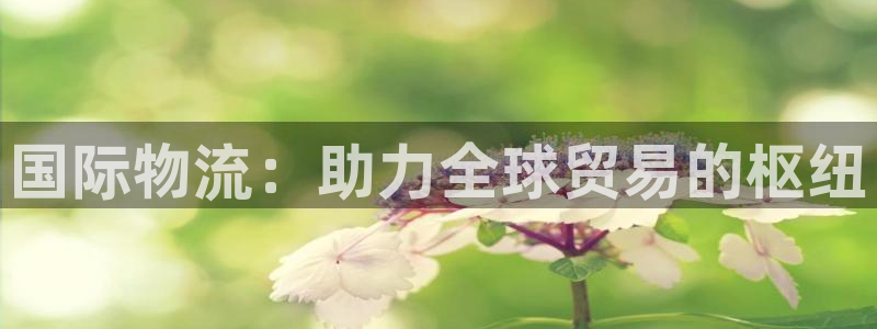 28圈加拿大官网