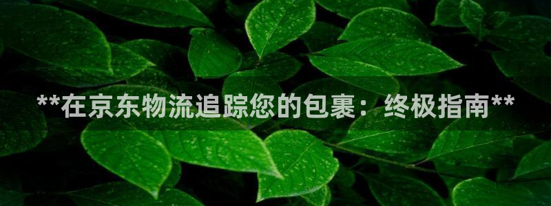 28圈登录网：**在京东物流追踪您的