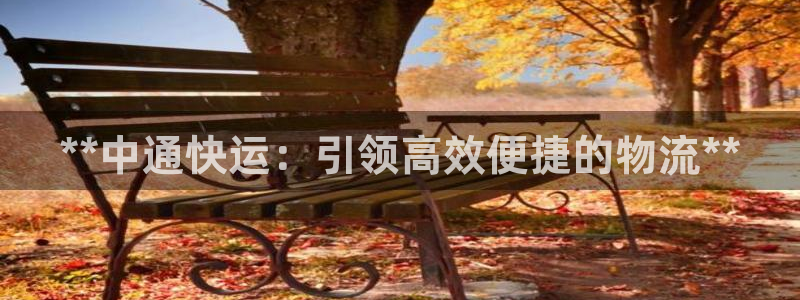 28圈官方官网版