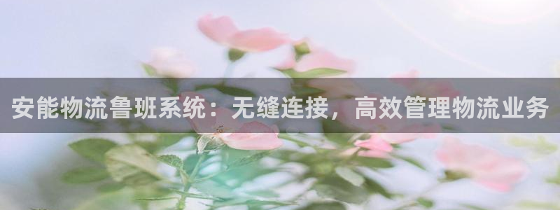 28圈激活码：安能物流鲁班系统：无缝
