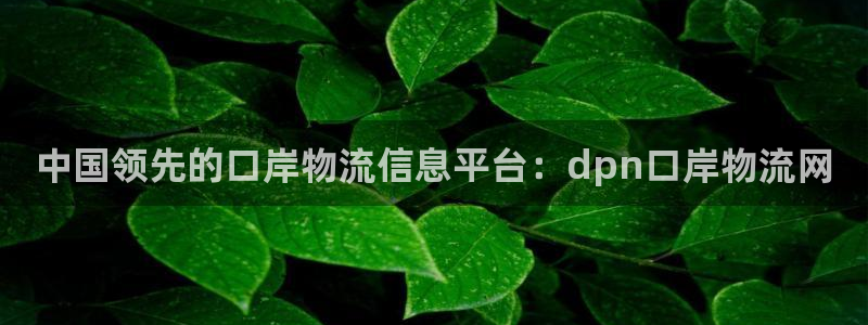 28圈.ccm2024