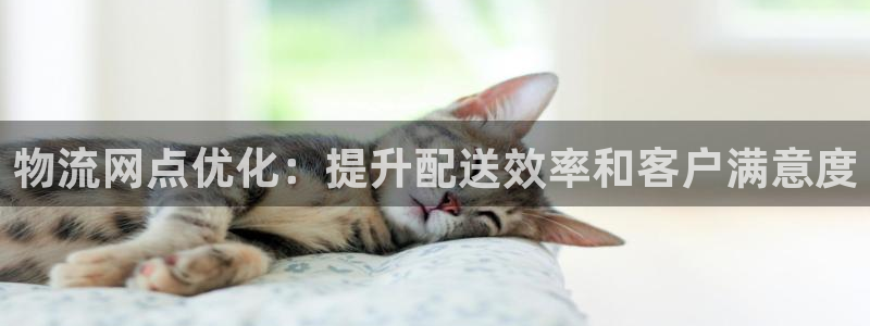 28圈平台注册：物流网点优化：提升配