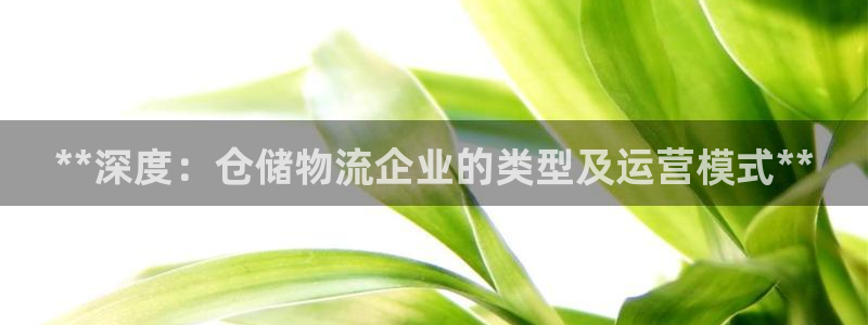 28圈充值不处理