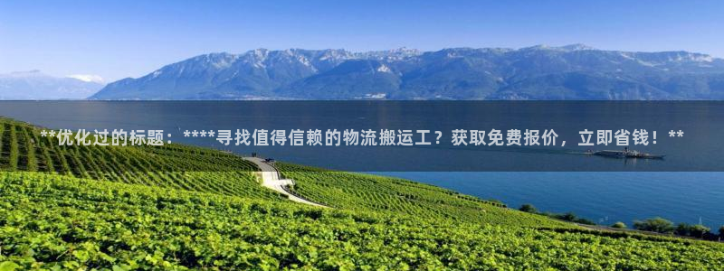 28圈注册登录流程：**优化过的标题