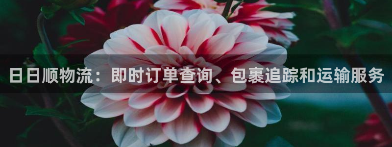 28圈注册网站谁有：日日顺物流：即时