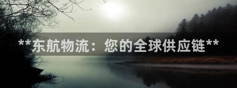 28圈加拿大技巧：**东航物流：您的