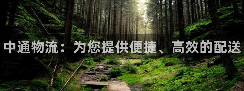 28圈充值