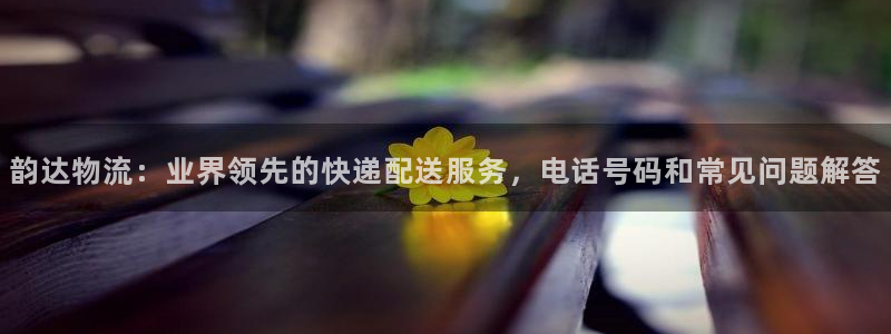 28圈里的财神