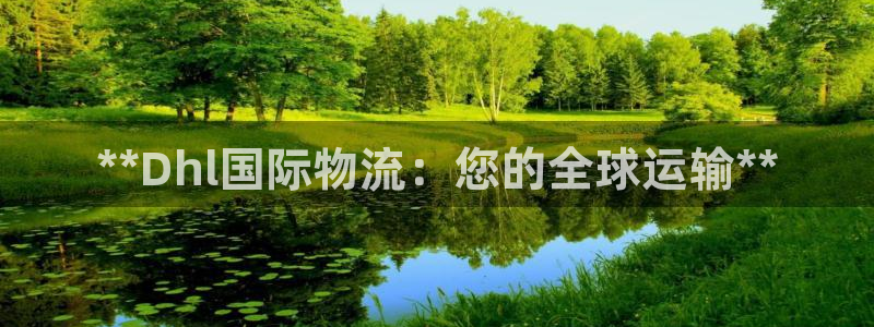 28圈提现不到账