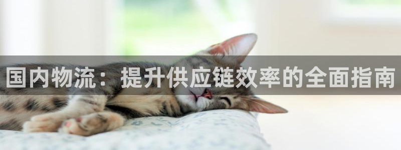 28圈注册链接入口：国内物流：提升供