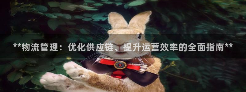 28圈app官网少林足球