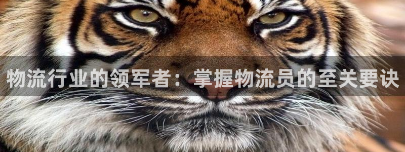 28圈入口问一问