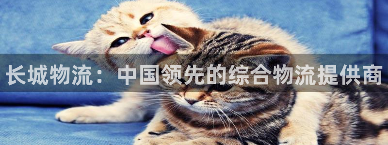 28圈.ccm2024