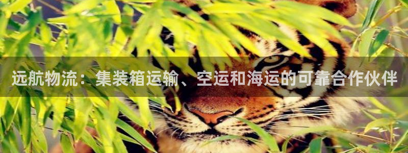 28圈h5链接