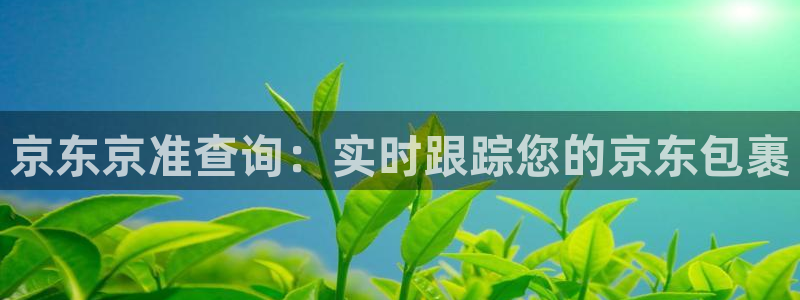 28圈加拿大官网