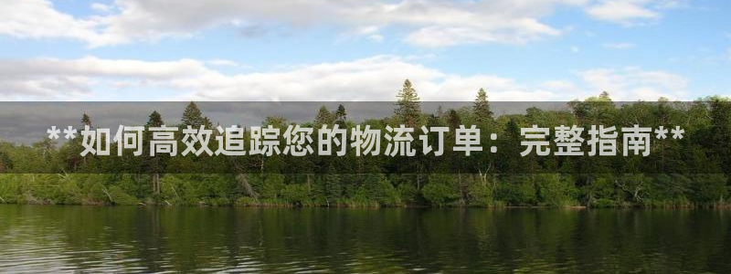 南宫28圈怎么注册：**如何高效追踪