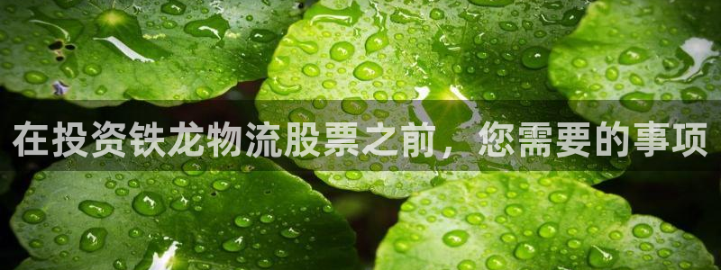 28圈娱乐官网网页入口：在投资铁龙物