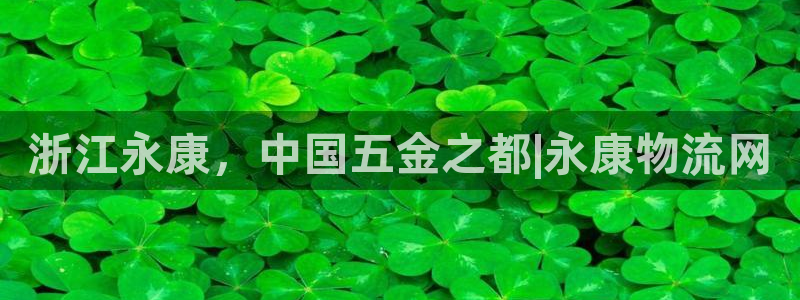 28圈v6能卖多少
