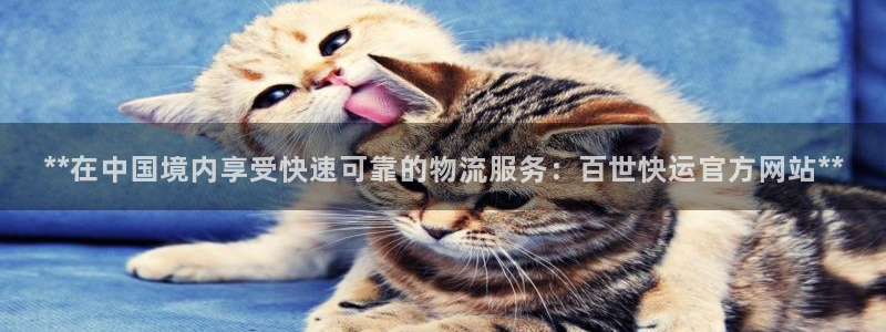 28圈预测加拿大师准