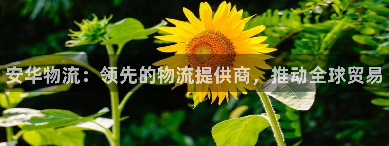 28圈吧
