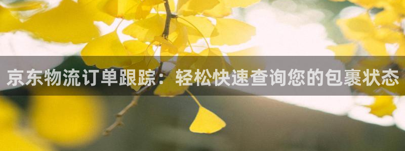 28圈pg麻将胡了