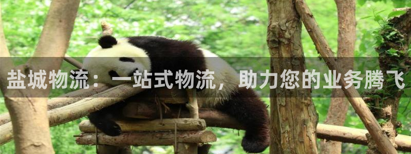 28圈注册步骤：盐城物流：一站式物流