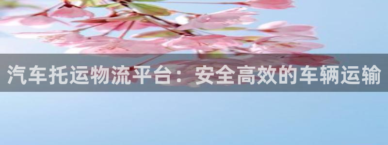 28圈登录用户名登录不上：汽车托运物
