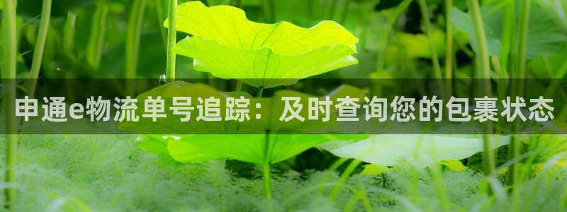 28圈平台注册：申通e物流单号追踪：
