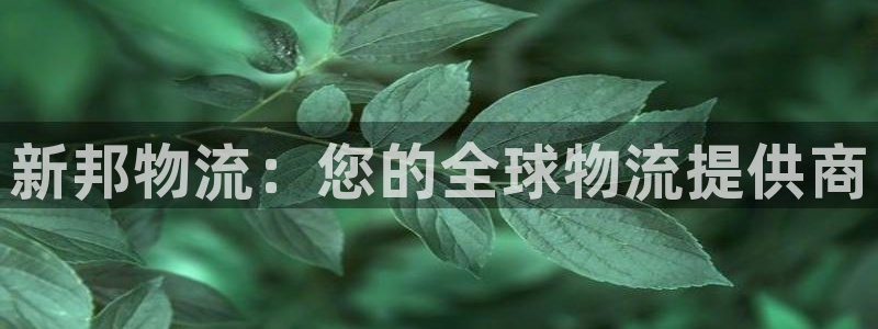 28圈为什么没有赢过一次：新邦物流：