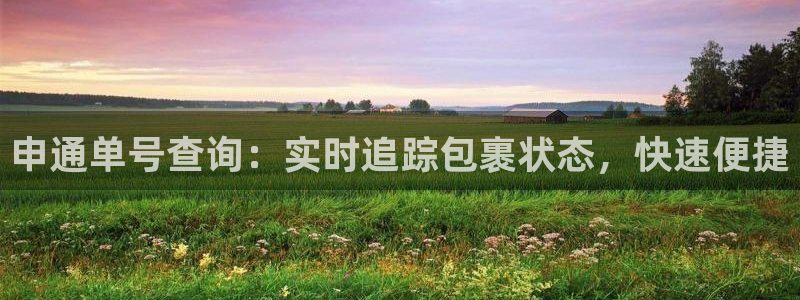 28圈注册登录链接：申通单号查询：实