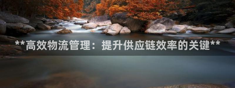 28圈官方官网：**高效物流管理：提