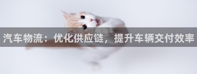 28圈.ccmo