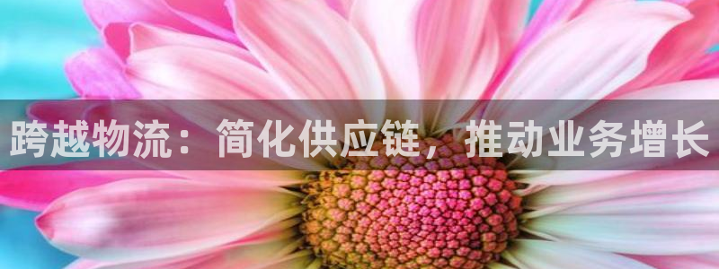 28圈开奖预测