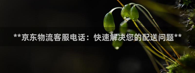 28圈下载体育