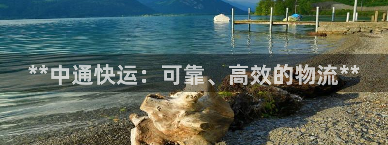 28圈cn：**中通快运：可靠、高效