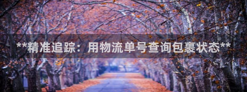 28圈技巧