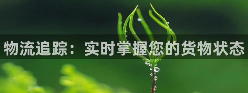 28圈软件：物流追踪：实时掌握您的货