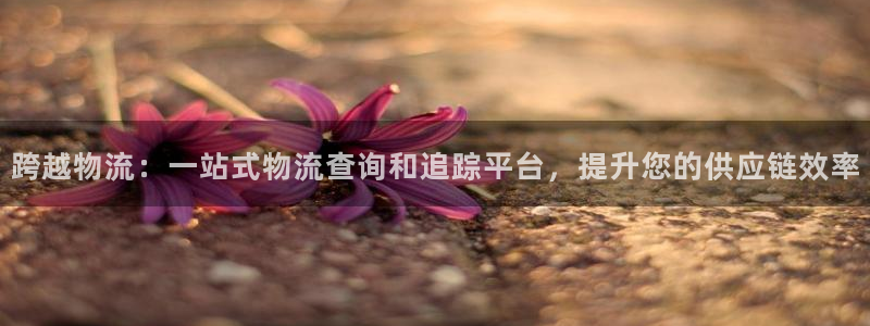 28圈能退款吗