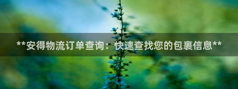28圈合法吗：**安得物流订单查询：
