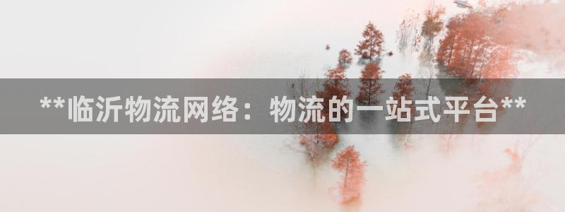 28圈是正规平台吗